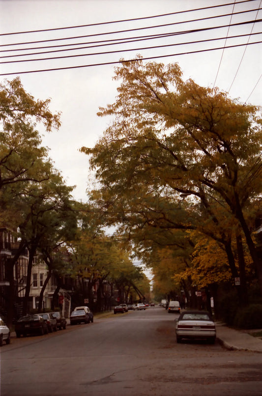 Perspectives rue Adam