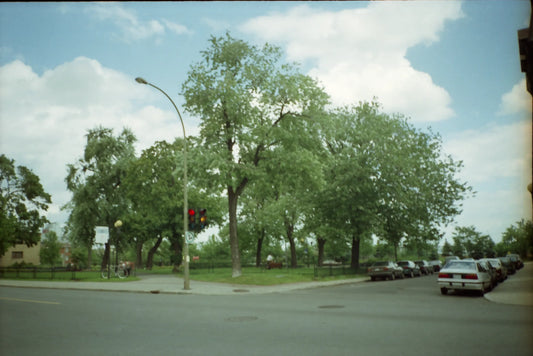 Parc Dézéry