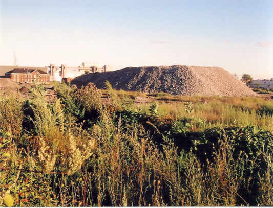 Vue du 1505 Dickson sur la gauche