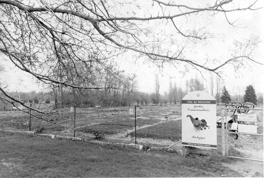 Jardin Botanique