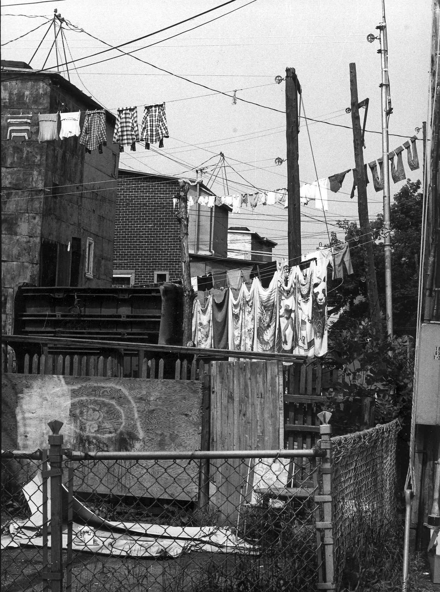 Cours arrières et cordes à linge