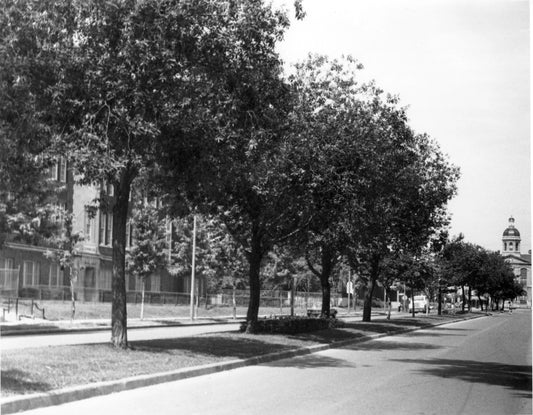 1680 Boulevard Morgan, École primaire Maisonneuve