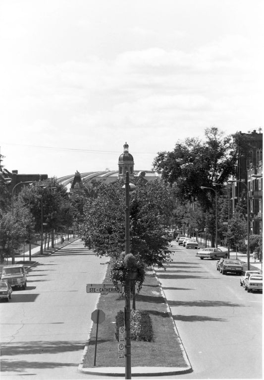 Boulevard Morgan entre Sainte-Catherine et Ontario