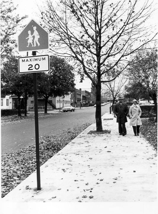 Rue Théodore. Vue prise au sud de Hochelaga.