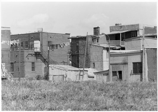 Cours arrières près de Ste-Catherine est et Darling.