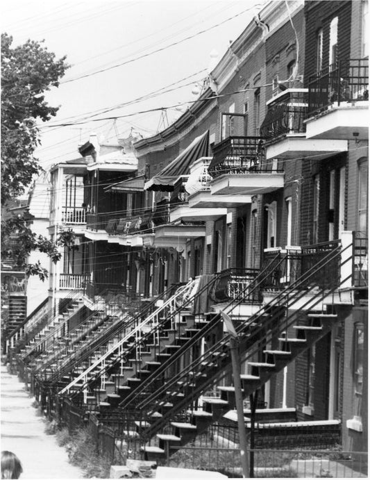 Vue de la rue Saint-Germain (côté est), entre Adam et Ontario