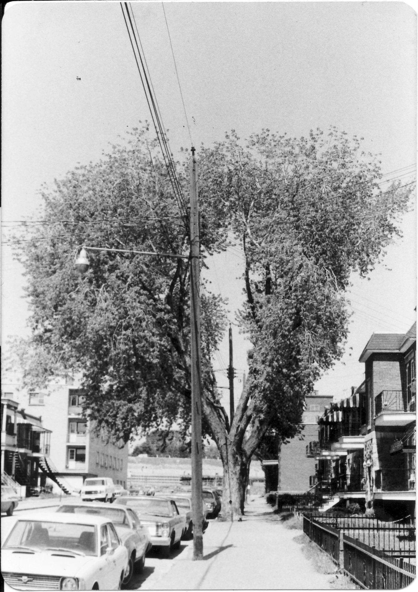 Avenue de La Salle au sud de Pierre-de-Coubertin