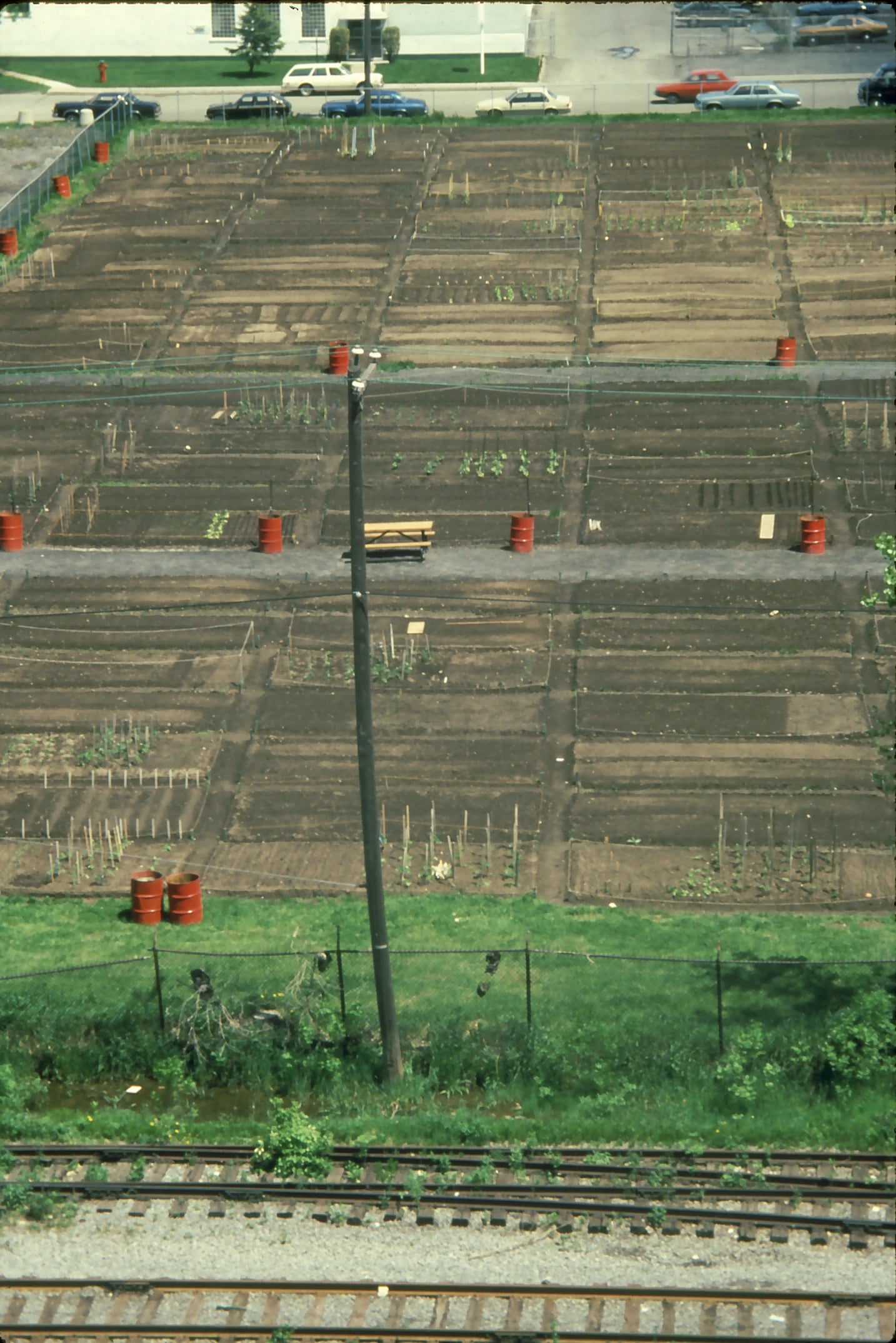 Jardins communautaires à l'arrière du Marché Maisonneuve. Vue prise de l'extérieur du toit du Marché