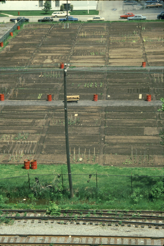 Jardins communautaires à l'arrière du Marché Maisonneuve. Vue prise de l'extérieur du toit du Marché