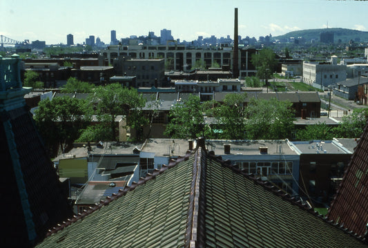 Marché Maisonneuve vue prise de l'intérieur du toit