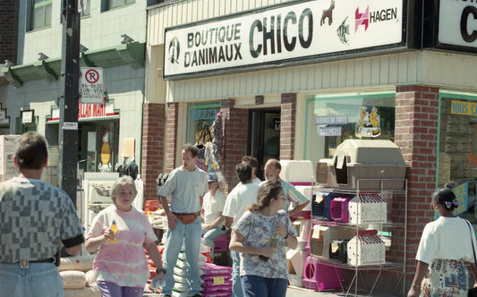 Boutique d'animaux Chico