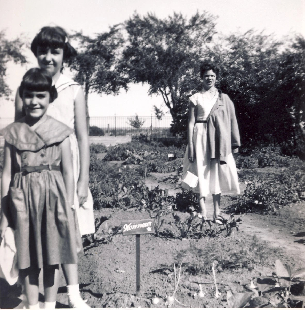 Jardin des écoliers à l'école de l'éveil du Jardin Botanique.