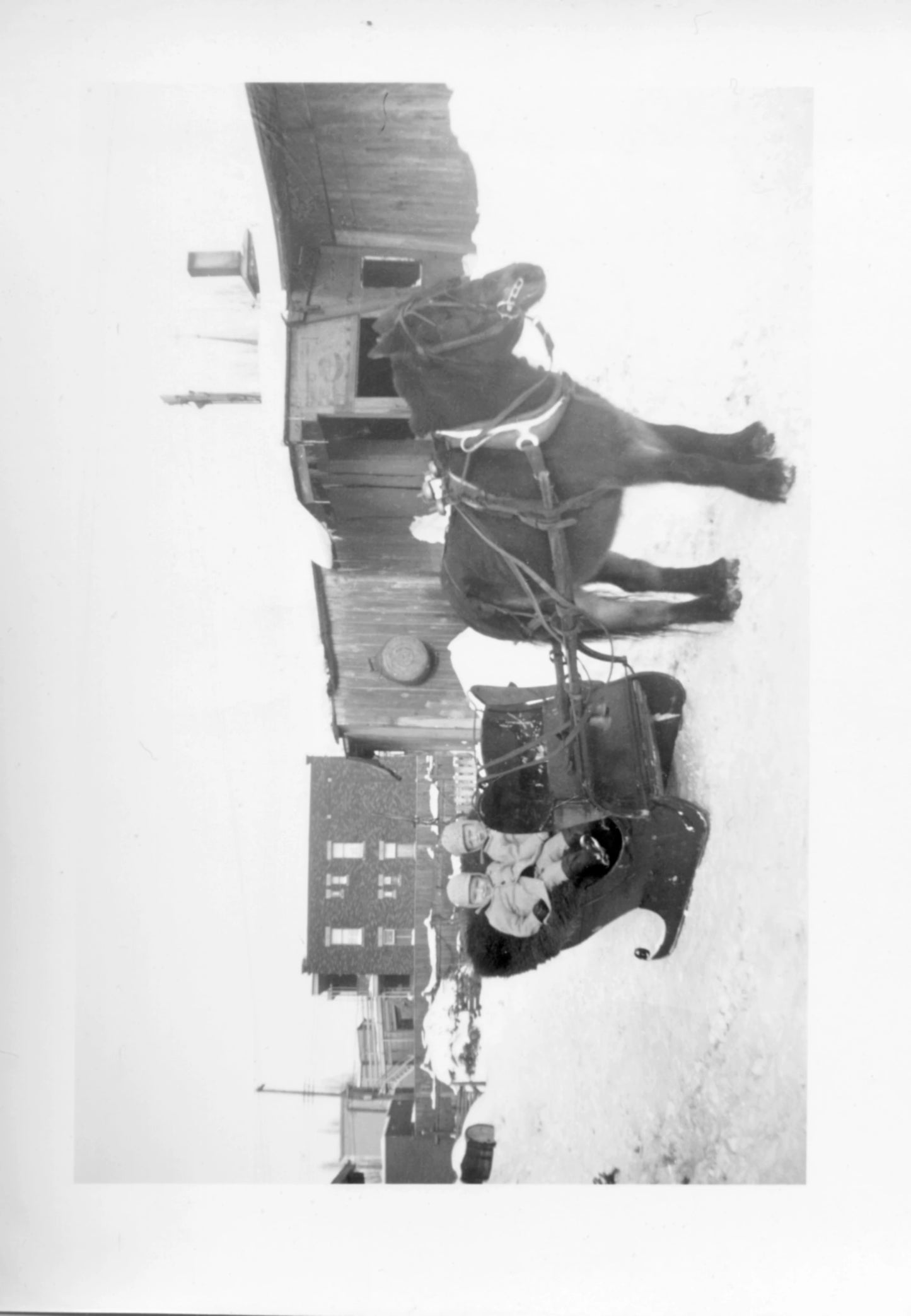 Enfants dans un traîneau