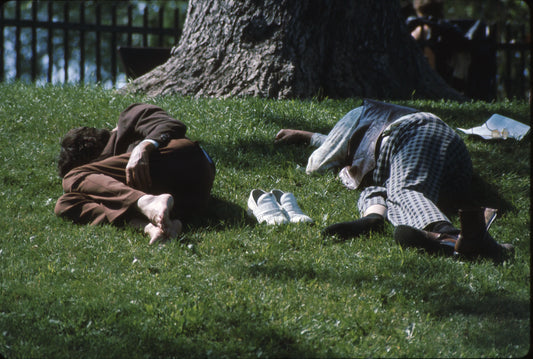 Adultes dans le Parc Morgan