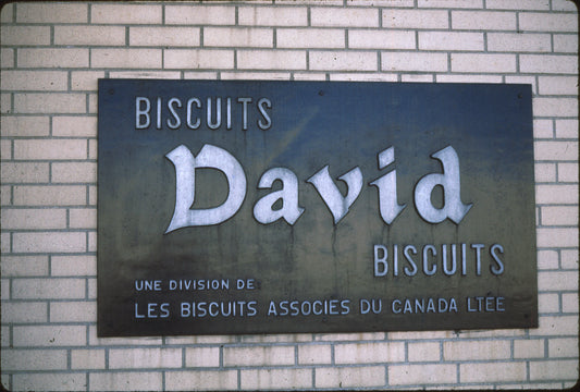 Biscuits David