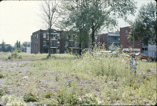 Rue Notre-Dame après démolition des maisons / champs