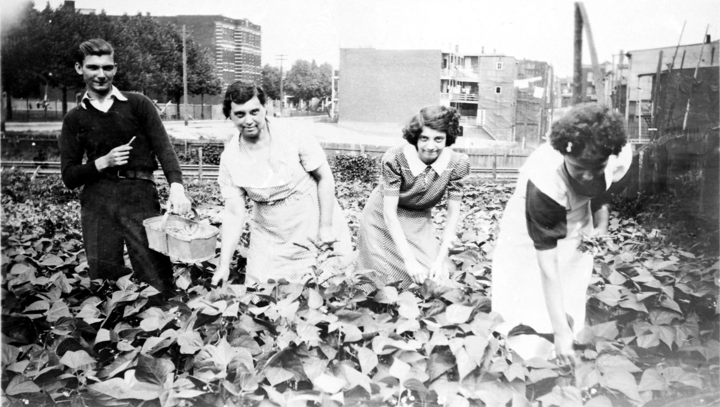 Jardins communautaires près rue St-Germain et chemin de fer