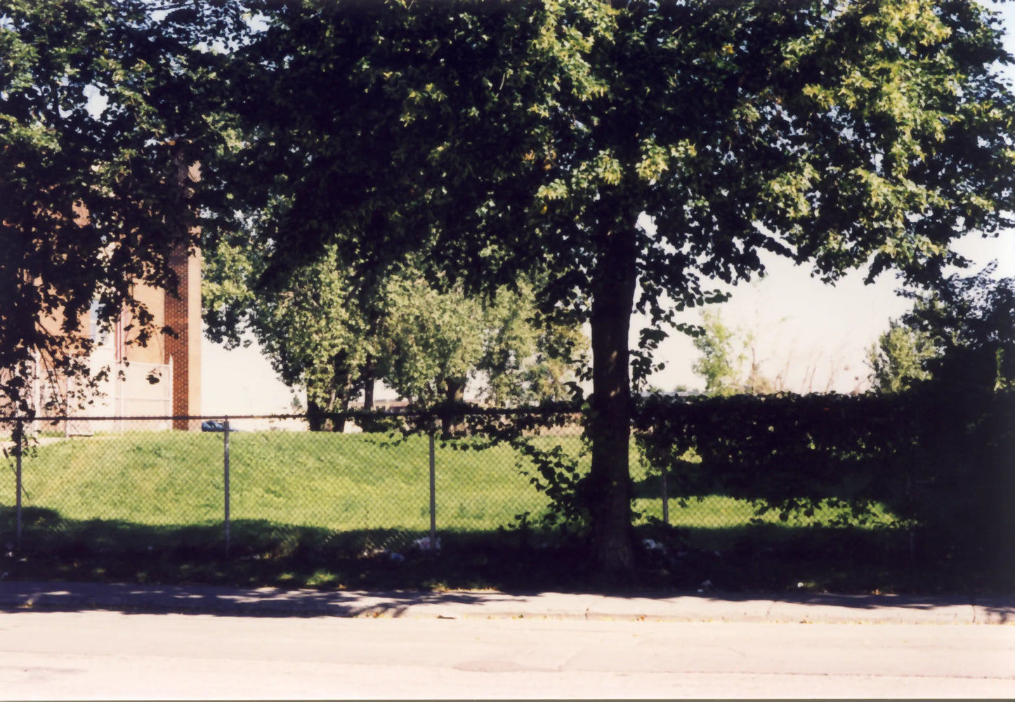 Terrain vacant de la rue Létourneux