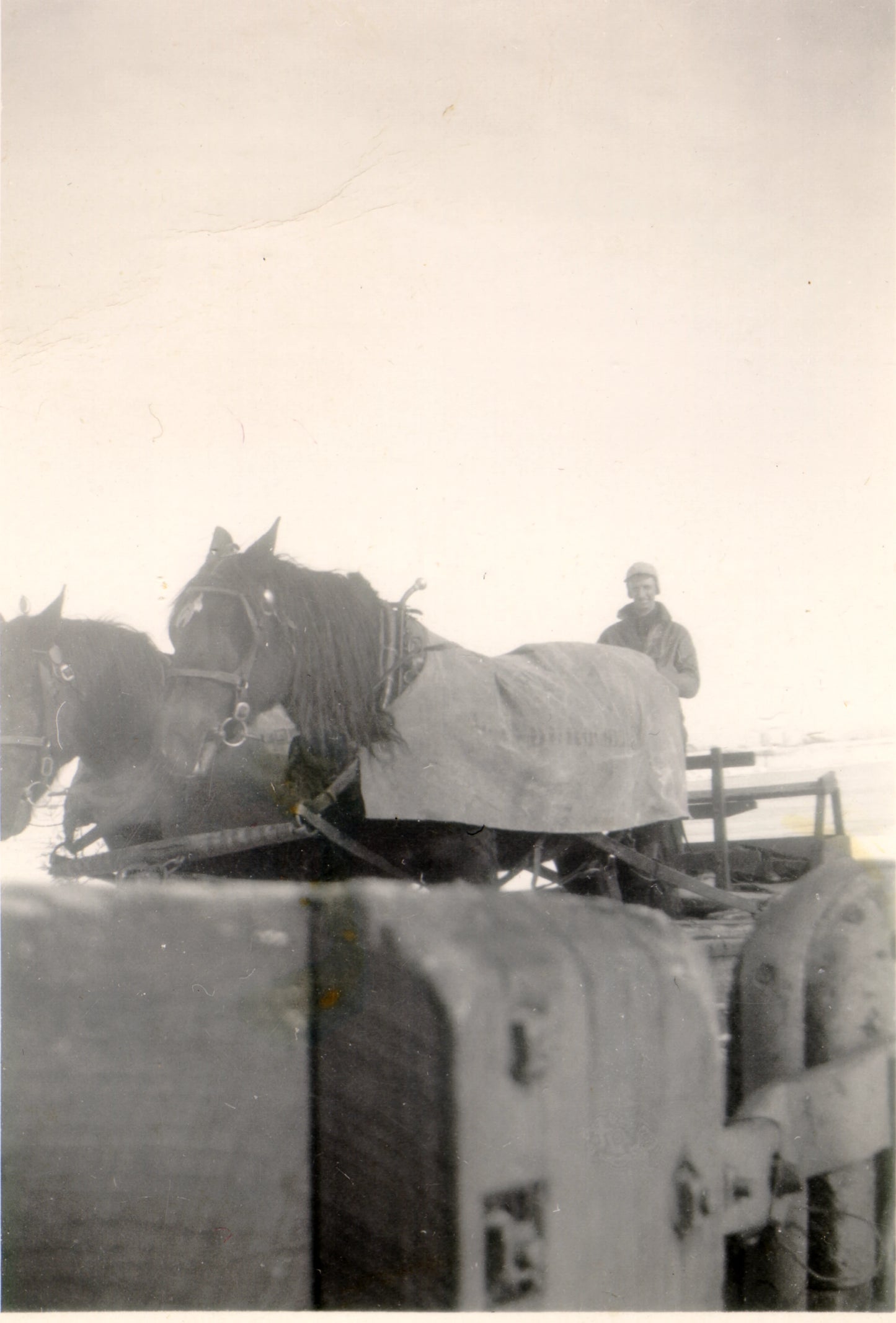 Edmond Durocher avec deux chevaux