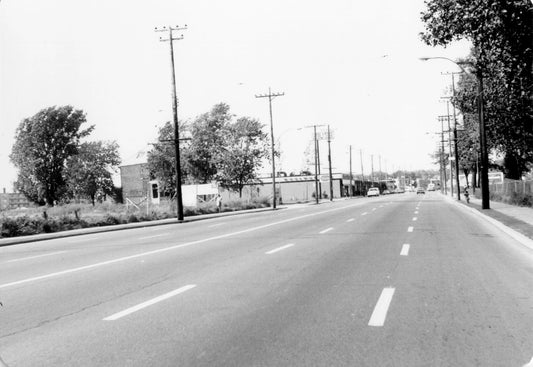 Rue Notre-Dame et Liébert