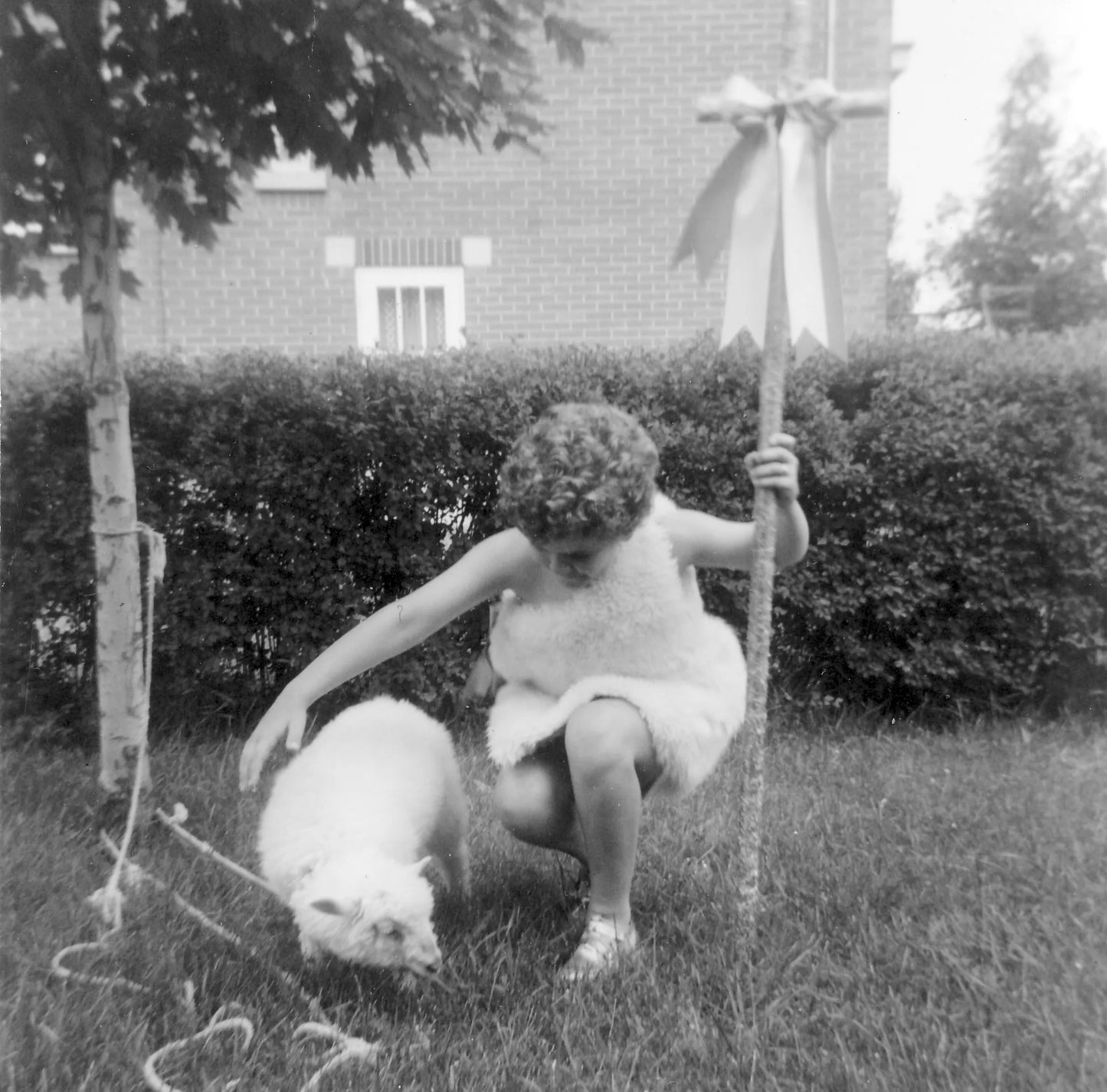 Enfant et un mouton