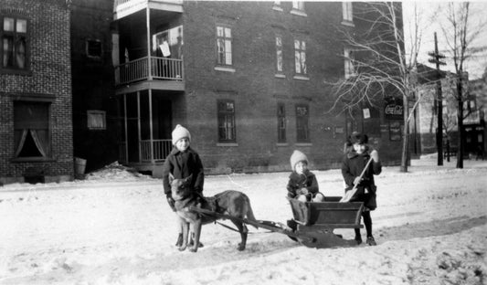 Trois enfants et un traineau tiré par un chien