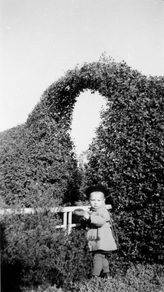 Enfant devant une haie du Jardin Botanique