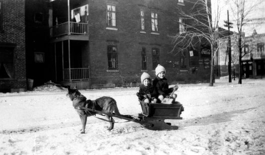 Enfants dans un traineau tiré par un chien