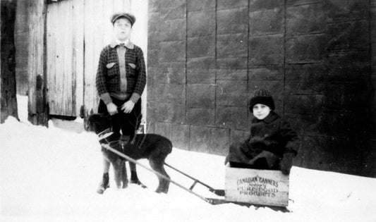 Enfants dans un traineau tiré par un chien